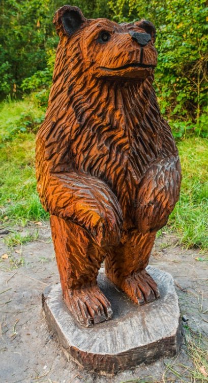 Clifton bear low res.jpg