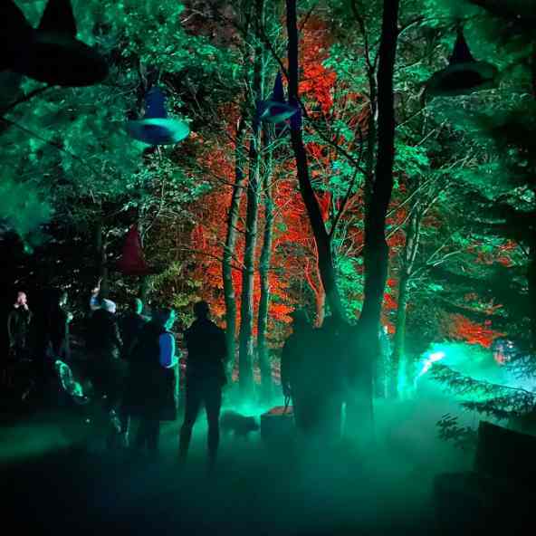 HLLT Promo Image 1.jpg